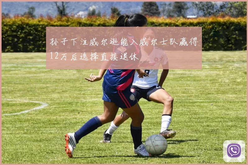 孙子下注威尔逊能入威尔士队赢得12万后选择直接退休