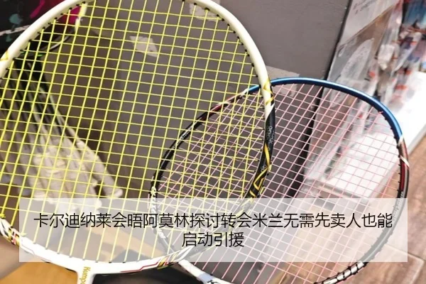 卡尔迪纳莱会晤阿莫林探讨转会米兰无需先卖人也能启动引援（XingkongSports）